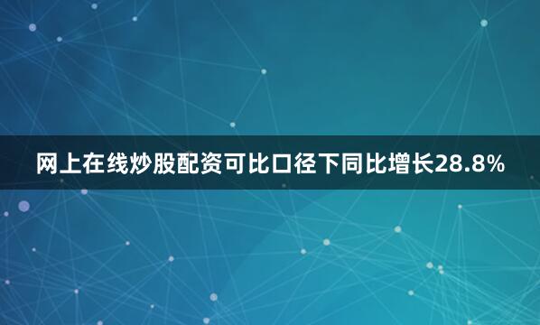 网上在线炒股配资可比口径下同比增长28.8%