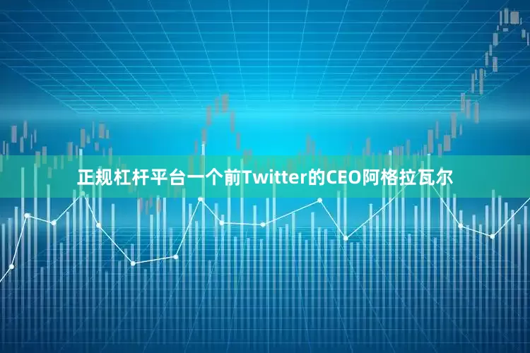 正规杠杆平台一个前Twitter的CEO阿格拉瓦尔